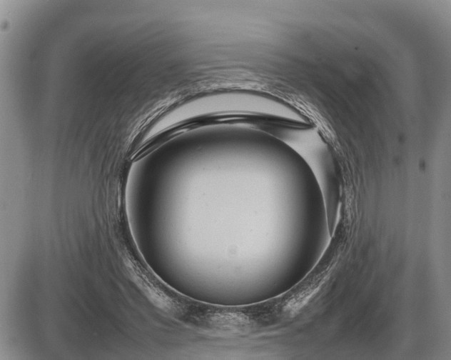 X0000087400397200704271652