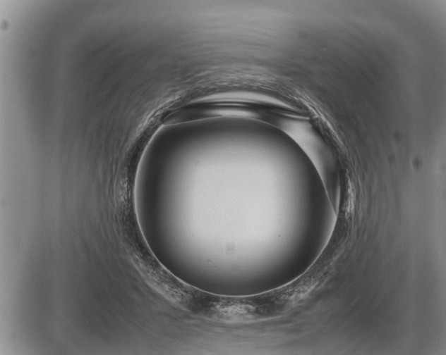 X0000087400407200704271652