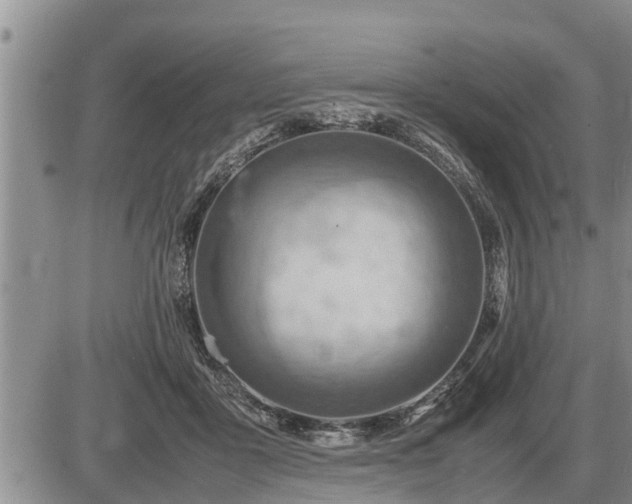 X0000087400411200704271652