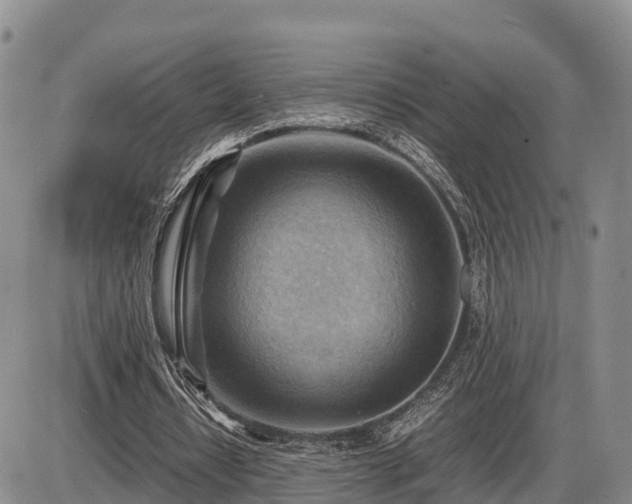 X0000087400434200704271651