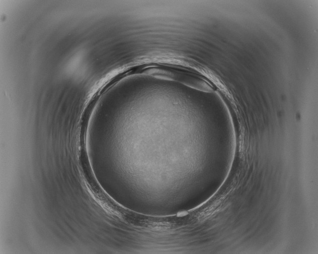 X0000087400438200704271651