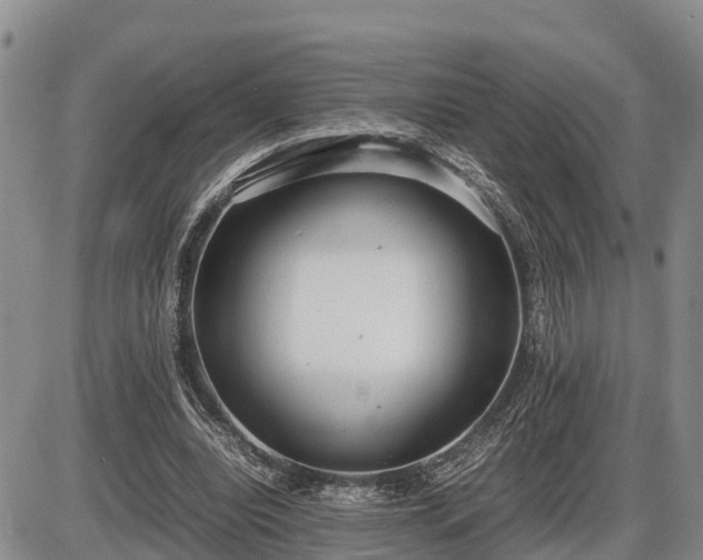 X0000087400440200704271651
