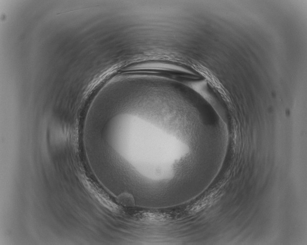 X0000087400442200704271651