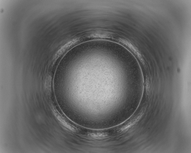 X0000087400445200704271651