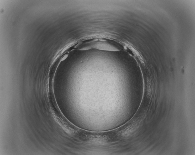 X0000087400486200704271651