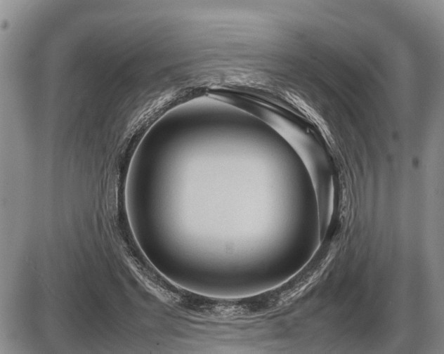 X0000087400493200704271651