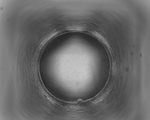 X0000087400529200704271649
