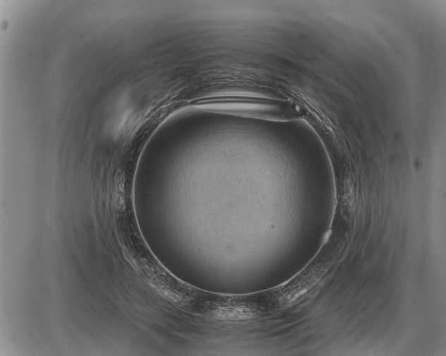 X0000087400547200704271650