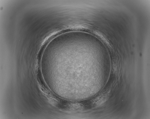 X0000087400583200704271649