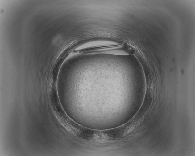 X0000087400591200704271649