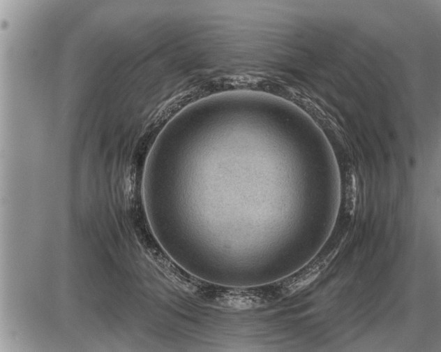 X0000087400608200704271649