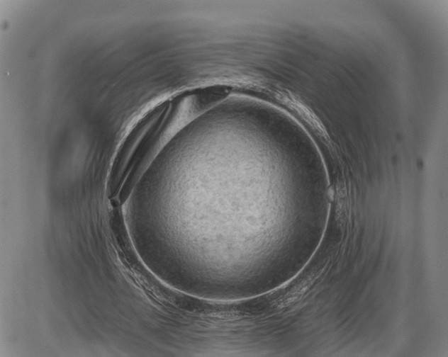 X0000087400628200704271648