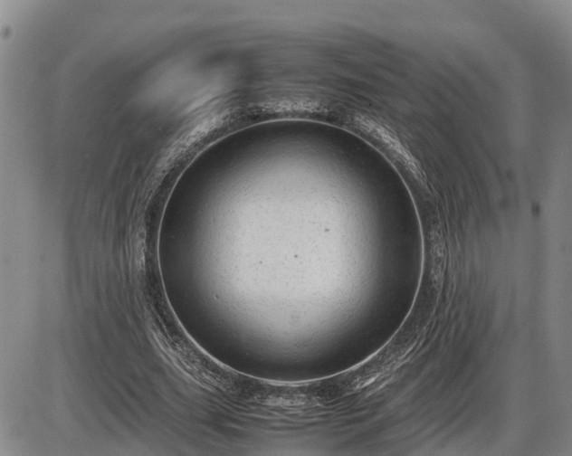 X0000087400631200704271648