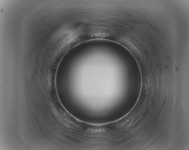 X0000087400639200704271648