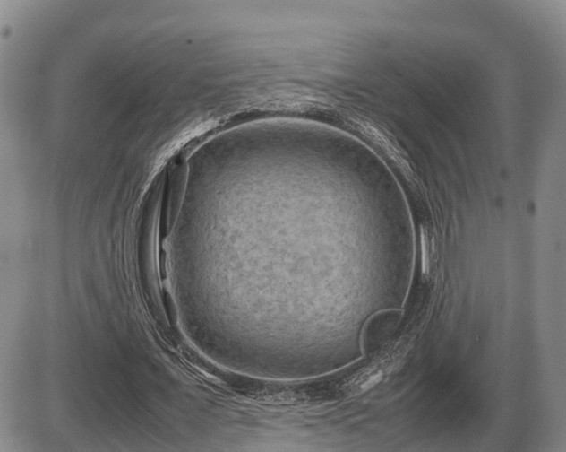 X0000087400675200704271648