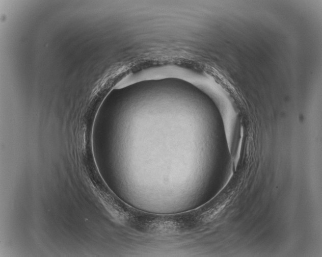 X0000087400685200704271648