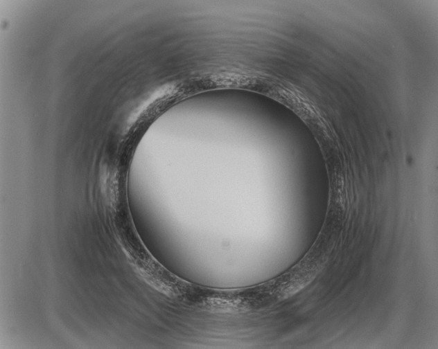 X0000087400690200704271647