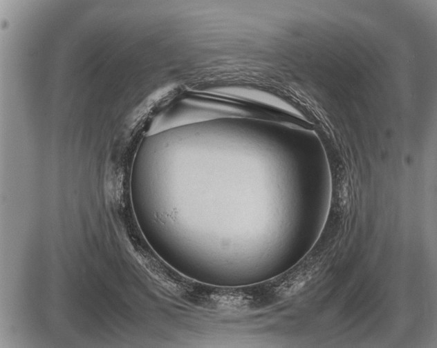 X0000087400693200704271647