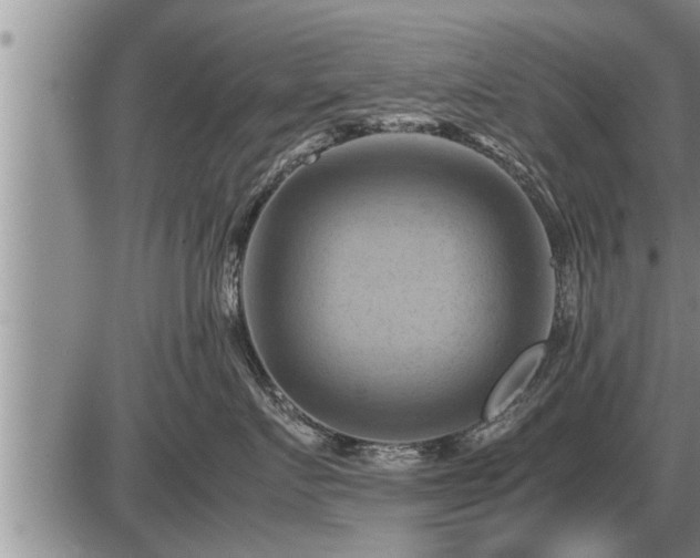 X0000087400719200704271647