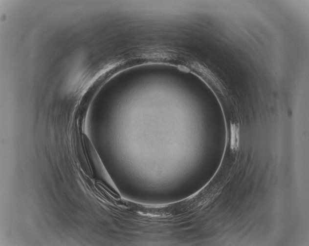 X0000087400723200704271646