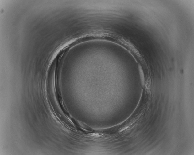 X0000087400724200704271646