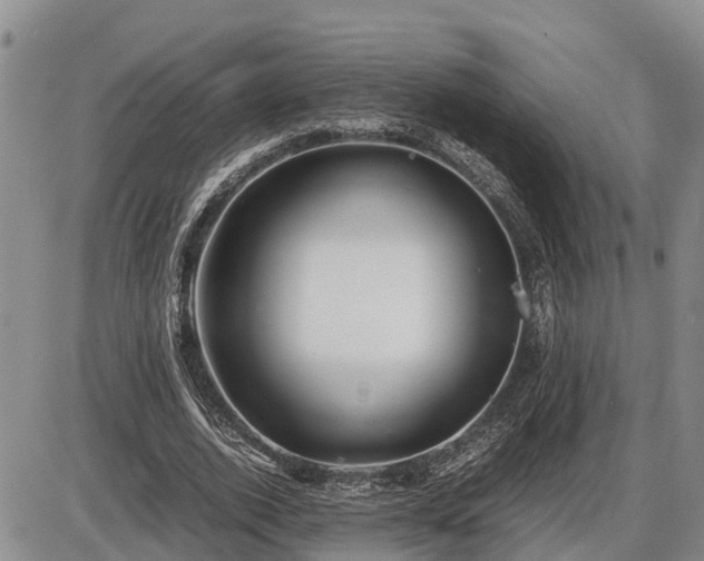 X0000087400728200704271646
