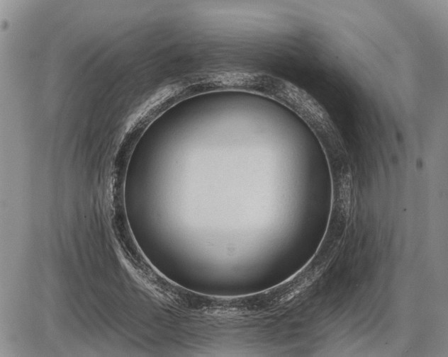 X0000087400730200704271646
