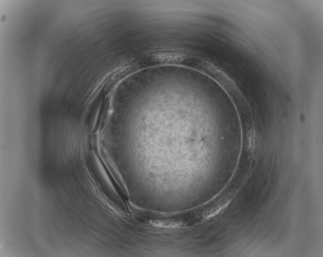 X0000087400733200704271646