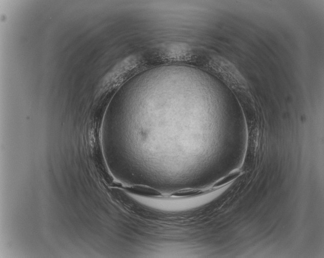 X0000087400746200704271647