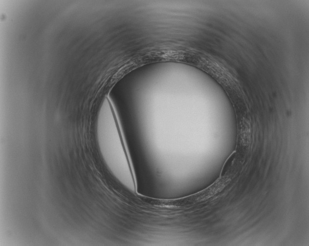 X0000087400748200704271647