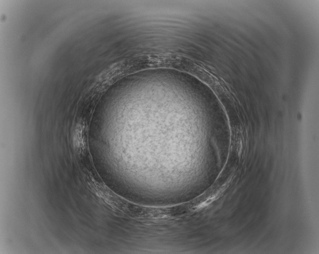 X0000087400770200704271646