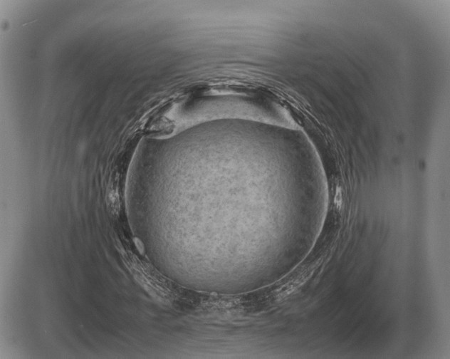 X0000087400771200704271646