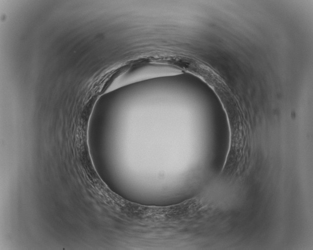 X0000087400773200704271646