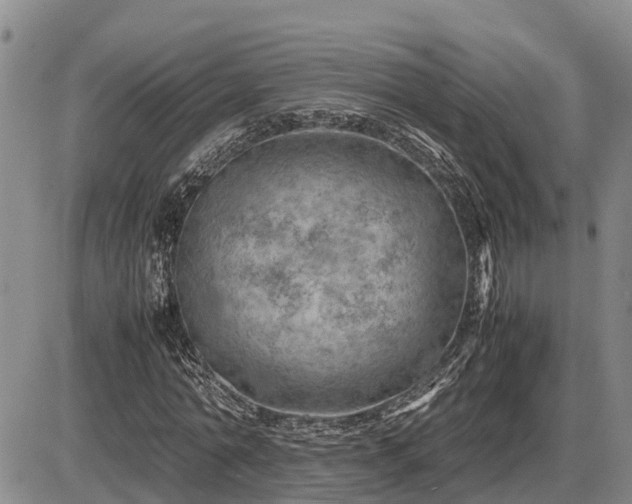 X0000087400774200704271646