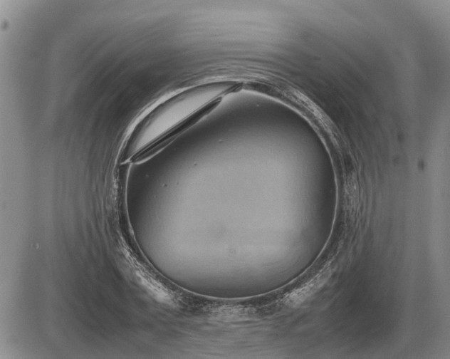 X0000087400779200704271646