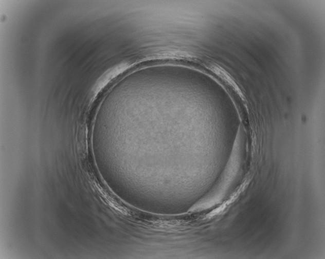 X0000087400781200704271646