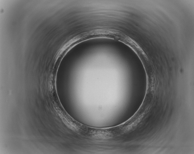 X0000087400786200704271646