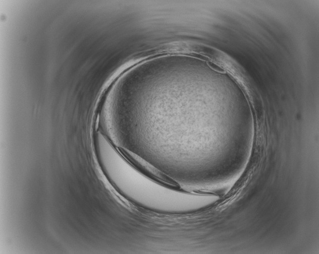 X0000087400803200704271646