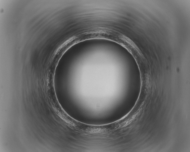 X0000087400826200704271645