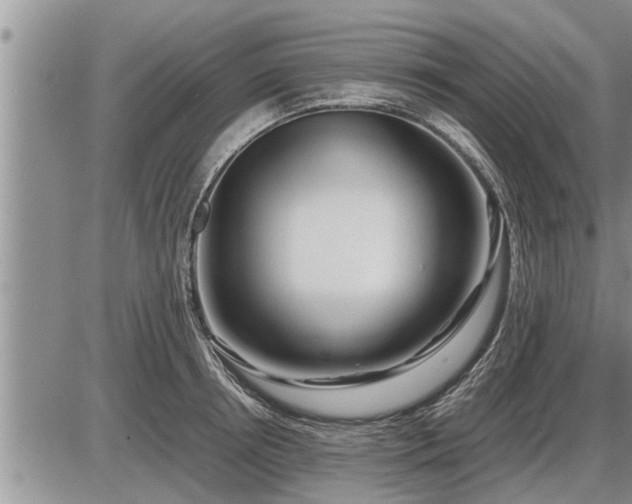 X0000087400850200704271645