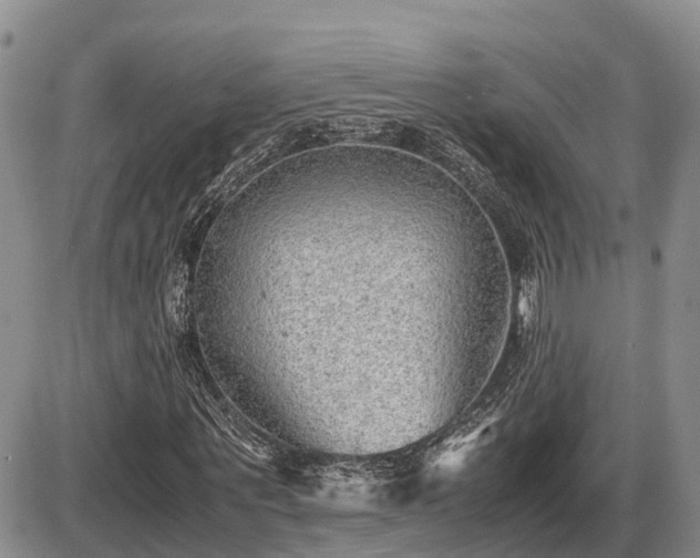 X0000087400867200704271645