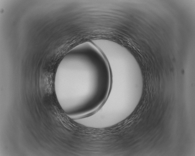 X0000087400868200704271645