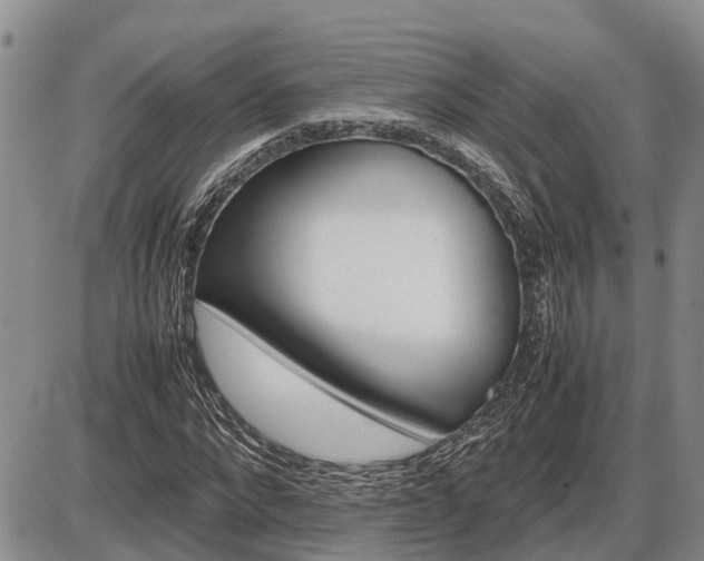 X0000087400872200704271644