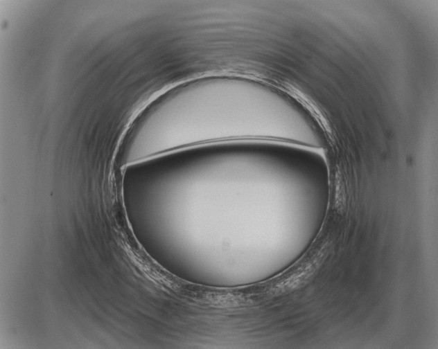 X0000087400876200704271644