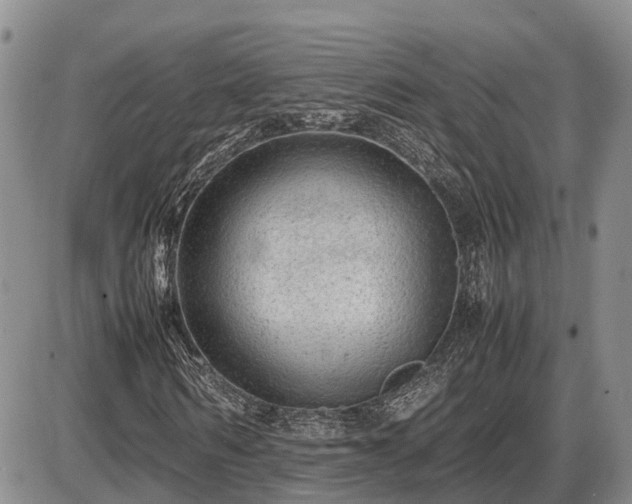 X0000087400962200704271643