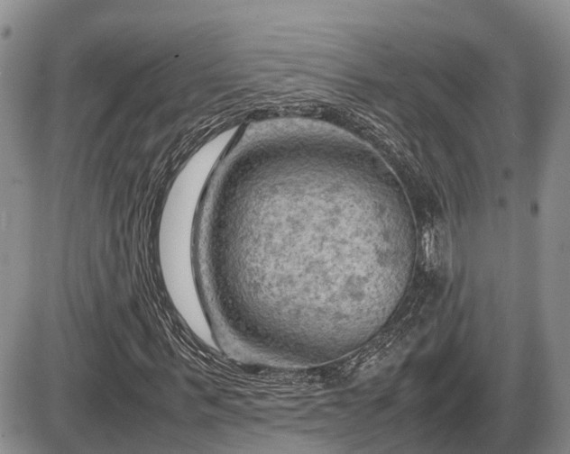 X0000087400963200704271643