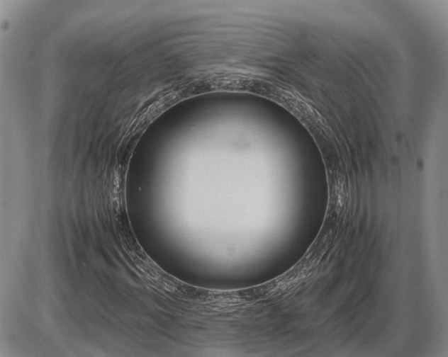 X0000087400964200704271643