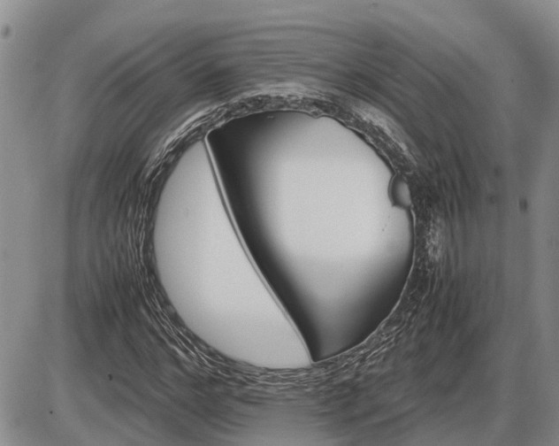 X0000087400968200704271643