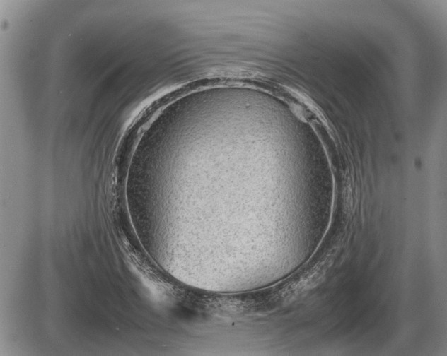 X0000087400971200704271643