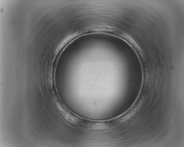 X0000087400986200704271643
